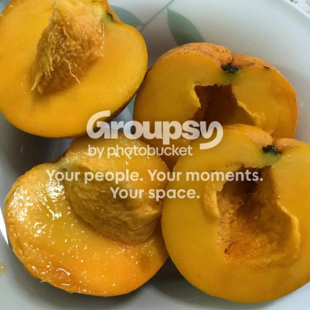 Legacy image from Mango Time Again!