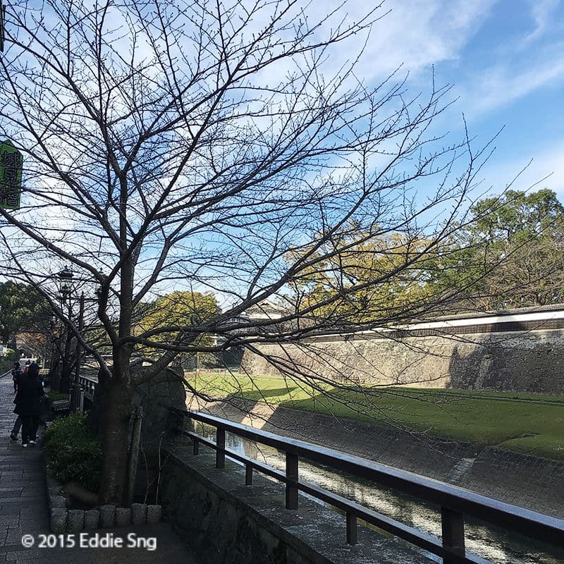 Legacy image from Kumamoto Castle and Ramen