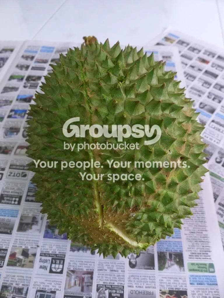 Legacy image from Its Durian Season Again!